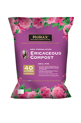 Ericaceous Compost Ericaceous Compost